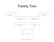 Family Tree 3 Generations No Graphics